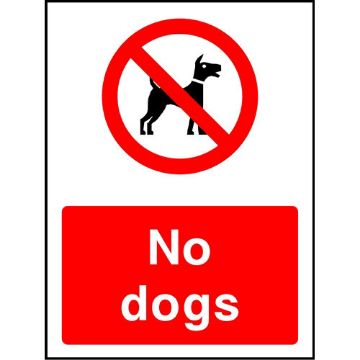 Picture of "No Dogs" Sign