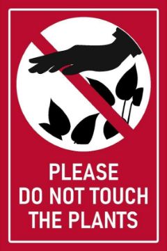 Picture of Please do not touch the plants sign - 1mm flexible Plastic (300mm x 200mm)
